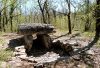 Dolmen du Bois de Galtier