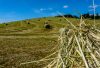 prairie aveyron